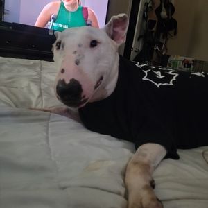 Meet your Posher, Fallyn